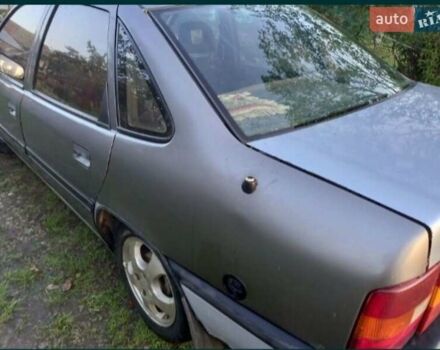 Опель Вектра 1989 в Стрые на Automoto.ua Серый Опель Вектра, объемом двигателя 1.6 л и пробегом 230 тыс. км за 1350 $, фото 1 на Automoto.ua