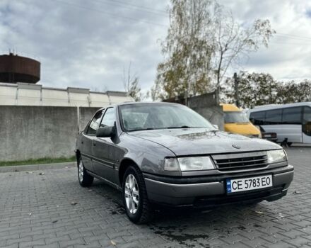 Опель Вектра 1989 у Чернівцях на Automoto.ua Сірий Опель Вектра, об'ємом двигуна 1.6 л та пробігом 260 тис. км за 1350 $, фото 1 на Automoto.ua
