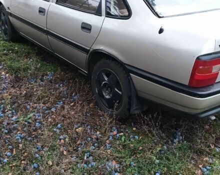 Опель Вектра 1990 у Краматорске на Automoto.ua Сірий Опель Вектра, об'ємом двигуна 1.6 л та пробігом 405 тис. км за 1200 $, фото 3 на Automoto.ua