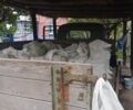 Серый Опель Вектра, объемом двигателя 0 л и пробегом 200 тыс. км за 1205 $, фото 1 на Automoto.ua