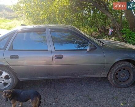 Серый Опель Вектра, объемом двигателя 2.5 л и пробегом 357 тыс. км за 3000 $, фото 11 на Automoto.ua