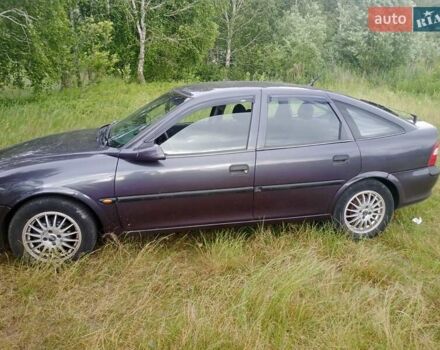 Сірий Опель Вектра, об'ємом двигуна 1.6 л та пробігом 198 тис. км за 2200 $, фото 9 на Automoto.ua