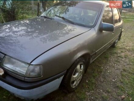 Опель Вектра 1989 в Стрые на Automoto.ua Серый Опель Вектра, объемом двигателя 1.6 л и пробегом 230 тыс. км за 1350 $, фото 1 на Automoto.ua