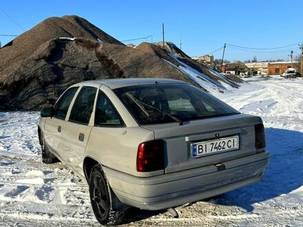 Опель Вектра 1989 у Полтаві на Automoto.ua Сірий Опель Вектра, об'ємом двигуна 2 л та пробігом 265 тис. км за 1200 $, фото 1 на Automoto.ua