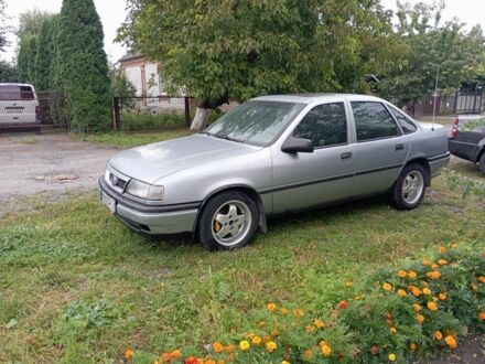 Опель Вектра 1990 в Бердичеве на Automoto.ua Серый Опель Вектра, объемом двигателя 1.6 л и пробегом 1 тыс. км за 1100 $, фото 1 на Automoto.ua