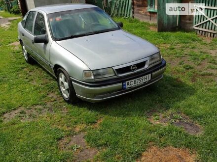 Опель Вектра 1994 у Любомль на Automoto.ua Сірий Опель Вектра, об'ємом двигуна 2 л та пробігом 354 тис. км за 1500 $, фото 1 на Automoto.ua