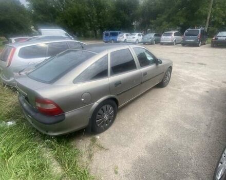 Серый Опель Вектра, объемом двигателя 1.6 л и пробегом 250 тыс. км за 2000 $, фото 1 на Automoto.ua