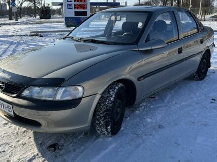 Опель Вектра 1997 у Полтаві на Automoto.ua Сірий Опель Вектра, об'ємом двигуна 1.6 л та пробігом 380 тис. км за 2700 $, фото 1 на Automoto.ua