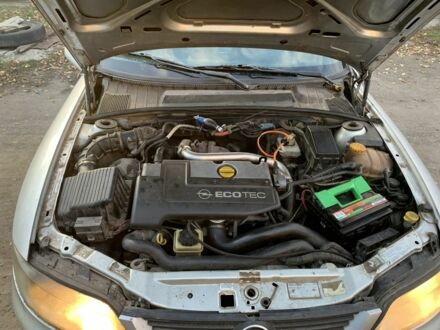 Опель Вектра 1997 у Каменке на Automoto.ua Сірий Опель Вектра, об'ємом двигуна 2 л та пробігом 300 тис. км за 1300 $, фото 1 на Automoto.ua