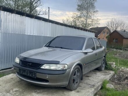 Опель Вектра 1998 у Надворной на Automoto.ua Сірий Опель Вектра, об'ємом двигуна 1.6 л та пробігом 2 тис. км за 1399 $, фото 1 на Automoto.ua