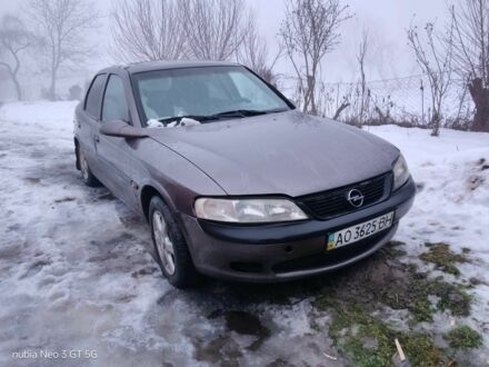 Сірий Опель Вектра, об'ємом двигуна 1.6 л та пробігом 345 тис. км за 1400 $, фото 1 на Automoto.ua