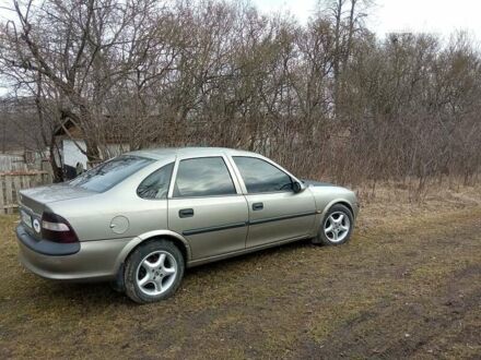 Опель Вектра 1998 у Вінниці на Automoto.ua Сірий Опель Вектра, об'ємом двигуна 1.6 л та пробігом 200 тис. км за 2500 $, фото 1 на Automoto.ua