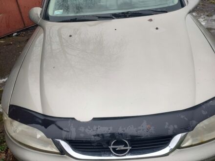 Серый Опель Вектра, объемом двигателя 1.8 л и пробегом 300 тыс. км за 1900 $, фото 1 на Automoto.ua