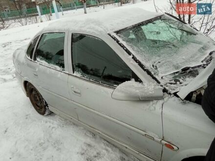 Опель Вектра 2001 у Арцизе на Automoto.ua Сірий Опель Вектра, об'ємом двигуна 2.02 л та пробігом 280 тис. км за 500 $, фото 1 на Automoto.ua