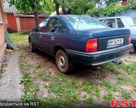 Синий Опель Вектра, объемом двигателя 1.6 л и пробегом 200 тыс. км за 500 $, фото 2 на Automoto.ua