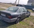 Синий Опель Вектра, объемом двигателя 0 л и пробегом 300 тыс. км за 700 $, фото 1 на Automoto.ua