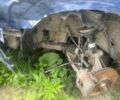 Синий Опель Вектра, объемом двигателя 0 л и пробегом 320 тыс. км за 900 $, фото 6 на Automoto.ua
