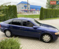 Опель Вектра 1997 в Дунаевцах на Automoto.ua Синий Опель Вектра, объемом двигателя 1.6 л и пробегом 177 тыс. км за 2399 $, фото 24 на Automoto.ua