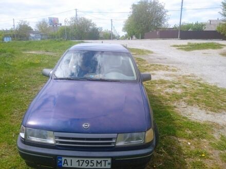 Опель Вектра 1990 в Житомире на Automoto.ua Синий Опель Вектра, объемом двигателя 1.6 л и пробегом 373 тыс. км за 900 $, фото 1 на Automoto.ua