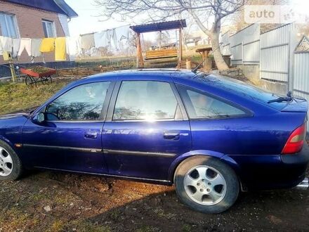 Опель Вектра 1996 у Вінниці на Automoto.ua Синій Опель Вектра, об'ємом двигуна 2.5 л та пробігом 250 тис. км за 2950 $, фото 1 на Automoto.ua