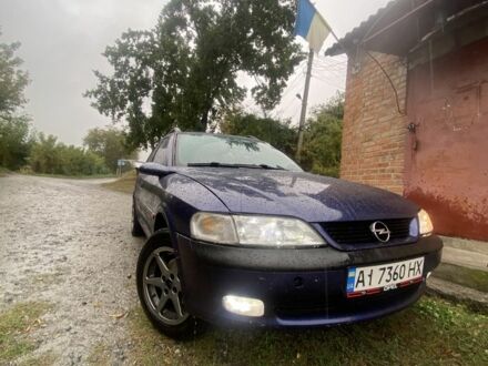 Опель Вектра 1997 у Бердичеве на Automoto.ua Синій Опель Вектра, об'ємом двигуна 1.6 л та пробігом 505 тис. км за 2400 $, фото 1 на Automoto.ua