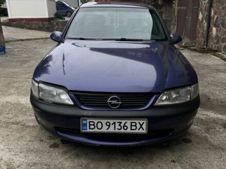 Опель Вектра 1997 в Городенке на Automoto.ua Синий Опель Вектра, объемом двигателя 1.8 л и пробегом 1 тыс. км за 1999 $, фото 1 на Automoto.ua
