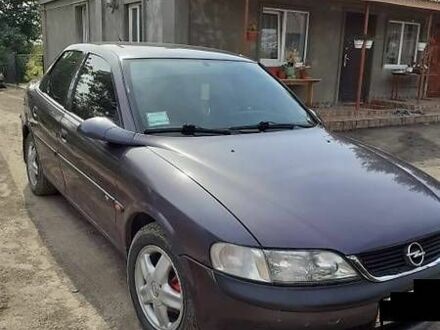Опель Вектра 1997 у Горохів на Automoto.ua Синій Опель Вектра, об'ємом двигуна 0 л та пробігом 1 тис. км за 3200 $, фото 1 на Automoto.ua