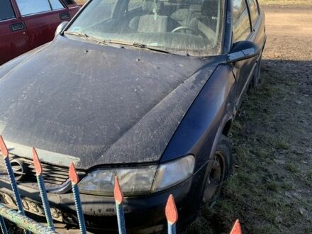 Опель Вектра 1998 у Сумах на Automoto.ua Синій Опель Вектра, об'ємом двигуна 2 л та пробігом 250 тис. км за 600 $, фото 1 на Automoto.ua