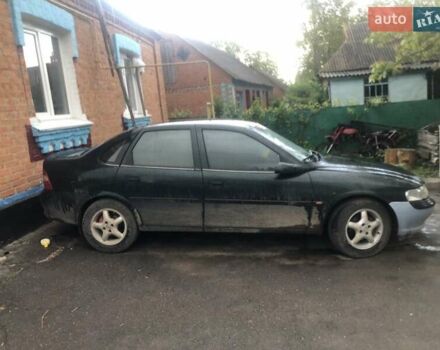 Зеленый Опель Вектра, объемом двигателя 1.6 л и пробегом 258 тыс. км за 1650 $, фото 5 на Automoto.ua