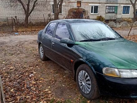 Опель Вектра 1998 в Полтаве на Automoto.ua Зеленый Опель Вектра, объемом двигателя 2 л и пробегом 345 тыс. км за 2000 $, фото 1 на Automoto.ua