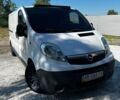 Білий Опель Віваро, об'ємом двигуна 2 л та пробігом 399 тис. км за 8700 $, фото 1 на Automoto.ua