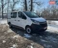 Белый Опель Виваро, объемом двигателя 1.6 л и пробегом 223 тыс. км за 14500 $, фото 23 на Automoto.ua