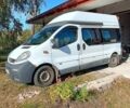 Белый Опель Виваро, объемом двигателя 2.5 л и пробегом 252 тыс. км за 7500 $, фото 2 на Automoto.ua