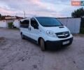 Білий Опель Віваро, об'ємом двигуна 2 л та пробігом 310 тис. км за 9000 $, фото 1 на Automoto.ua