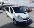Белый Опель Виваро, объемом двигателя 2 л и пробегом 263 тыс. км за 9950 $, фото 1 на Automoto.ua