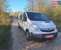 Белый Опель Виваро, объемом двигателя 2 л и пробегом 286 тыс. км за 12750 $, фото 1 на Automoto.ua