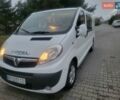 Белый Опель Виваро, объемом двигателя 2 л и пробегом 265 тыс. км за 12800 $, фото 45 на Automoto.ua