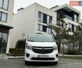 Білий Опель Віваро, об'ємом двигуна 1.6 л та пробігом 280 тис. км за 15700 $, фото 1 на Automoto.ua