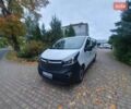 Белый Опель Виваро, объемом двигателя 1.6 л и пробегом 167 тыс. км за 13000 $, фото 9 на Automoto.ua
