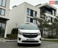 Білий Опель Віваро, об'ємом двигуна 1.6 л та пробігом 280 тис. км за 15700 $, фото 1 на Automoto.ua