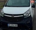 Белый Опель Виваро, объемом двигателя 1.6 л и пробегом 365 тыс. км за 13500 $, фото 3 на Automoto.ua