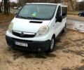 Белый Опель Виваро, объемом двигателя 20 л и пробегом 260 тыс. км за 8500 $, фото 3 на Automoto.ua