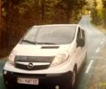 Белый Опель Виваро, объемом двигателя 25 л и пробегом 365 тыс. км за 7500 $, фото 1 на Automoto.ua