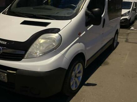 Опель Виваро 2012 в Александрие на Automoto.ua Белый Опель Виваро, объемом двигателя 2 л и пробегом 390 тыс. км за 11000 $, фото 1 на Automoto.ua
