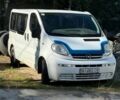 Опель Віваро, об'ємом двигуна 1.9 л та пробігом 346 тис. км за 5500 $, фото 1 на Automoto.ua