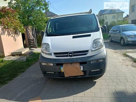 Опель Виваро пасс. 2005 в Львове на Automoto.ua Белый Опель Виваро пасс., объемом двигателя 1.9 л и пробегом 297 тыс. км за 8000 $, фото 1 на Automoto.ua