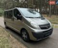 Серый Опель Виваро, объемом двигателя 2 л и пробегом 260 тыс. км за 15800 $, фото 42 на Automoto.ua