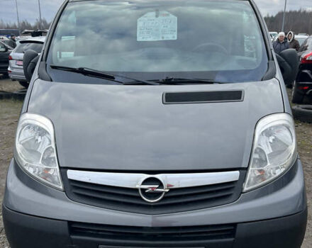 Серый Опель Виваро, объемом двигателя 2 л и пробегом 238 тыс. км за 9150 $, фото 1 на Automoto.ua