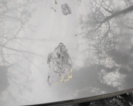 Серый Опель Зафира, объемом двигателя 1.9 л и пробегом 360 тыс. км за 5100 $, фото 8 на Automoto.ua