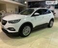 Белый Опель Grandland X, объемом двигателя 0 л и пробегом 59 тыс. км за 19500 $, фото 9 на Automoto.ua